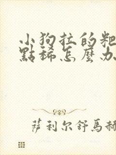 小狗拉的粑粑有点稀怎么办