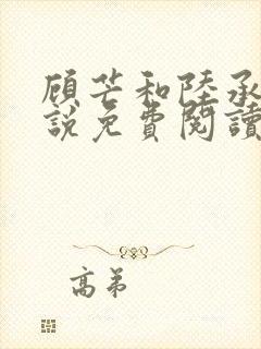 顾芒和陆承洲小说免费阅读