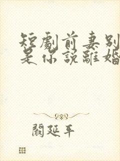 短剧前妻别哭了是你说离婚的