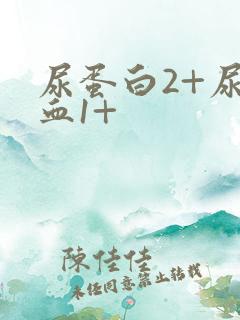 尿蛋白2+尿隐血1+