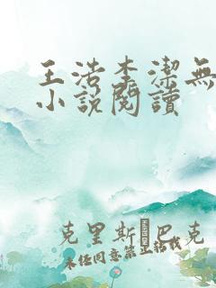 王浩李洁无删减小说阅读