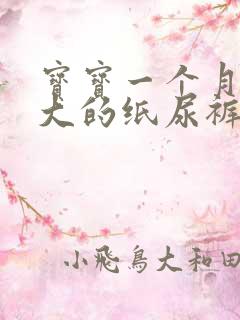 宝宝一个月用多大的纸尿裤