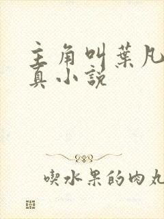 主角叫叶凡的修真小说