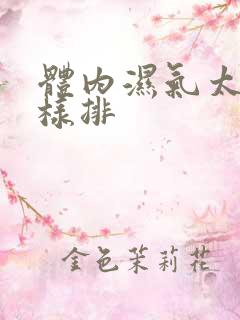 体内湿气太重怎样排