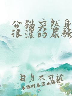 公猫突然身上有很浓的尿骚味