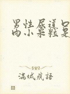 男性尿道口长小肉小米粒是怎么回事