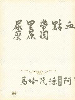 尿里带点血是什么原因