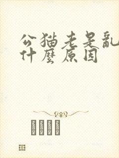 公猫老是乱尿是什么原因