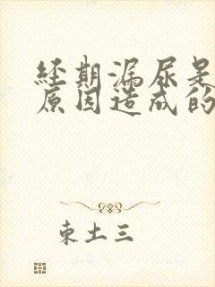 经期漏尿是什么原因造成的