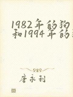 1982年的狗和1994年的狗婚姻相配吗