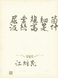 尿常规细菌和粘液丝高是什么意思