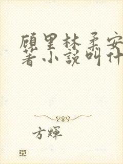 顾里林柔安心原著小说叫什么名字