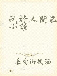 我于人间已无敌小说