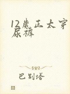 12岁正太穿纸尿裤