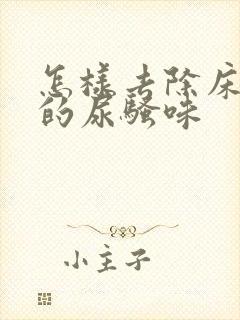 怎样去除床垫上的尿骚味