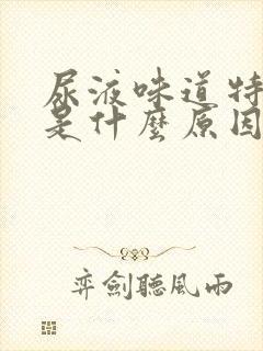 尿液味道特别大是什么原因造成的