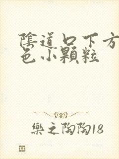 阴道口下方有白色小颗粒