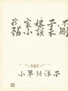 我家娘子,不对劲小说未删版全文