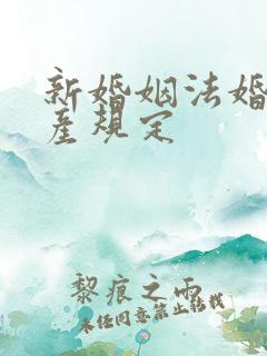 新婚姻法婚前财产规定