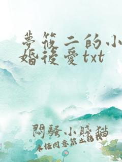 梦筱二的小说先婚后爱txt