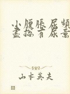 小腹胀尿频尿不尽总有尿意