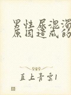 男性尿混浊什么原因造成的?