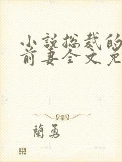 小说总裁的替身前妻全文免费阅读