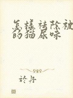 怎样祛除被子上的猫尿味