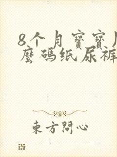 8个月宝宝用什么码纸尿裤