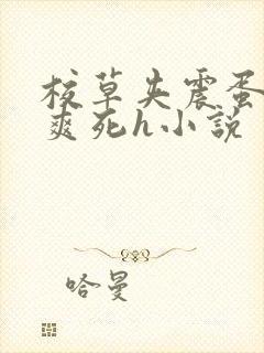 校草夹震蛋上课爽死h小说