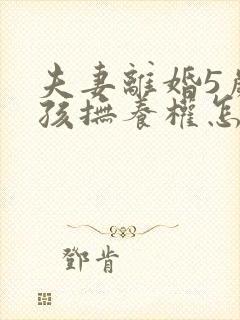 夫妻离婚5岁小孩抚养权怎么判