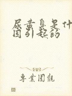 尿黄臭是什么原因引起的