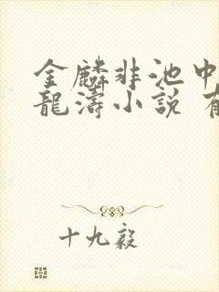 金麟非池中物侯龙涛小说 有声