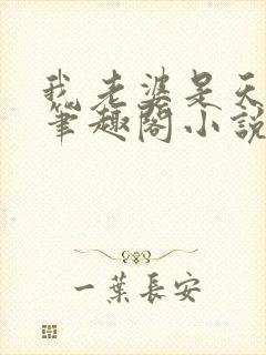 我老婆是天后 笔趣阁小说