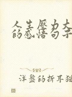 人生压力大很累的感悟句子