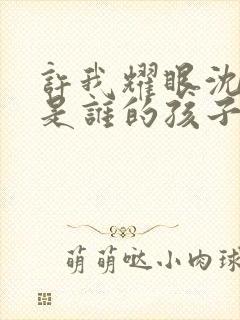 许我耀眼沈皓辰是谁的孩子