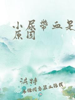 小尿带血是什么原因