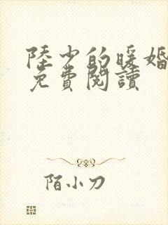 陆少的暖婚新妻免费阅读