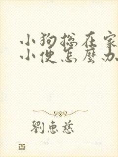 小狗总在家里大小便怎么办