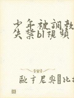 少年被调教爽到失禁bl视频