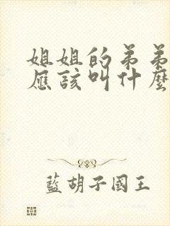 姐姐的弟弟姐夫应该叫什么