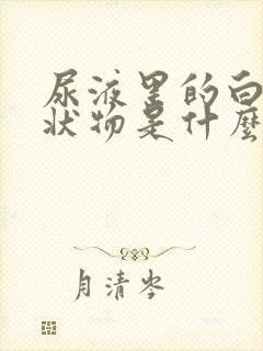 尿液里的白色絮状物是什么