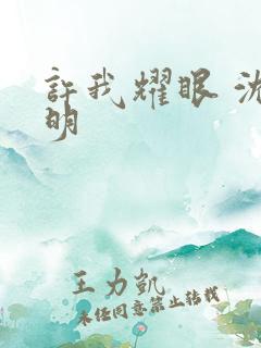 许我耀眼 沈皓明