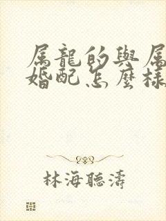 属龙的与属马的婚配怎么样