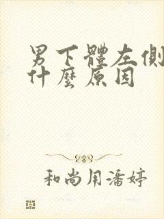 男下体左侧疼是什么原因