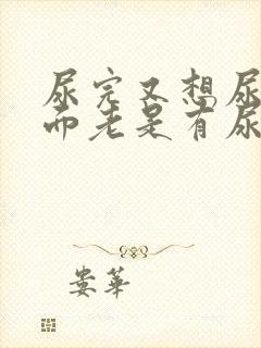 尿完又想尿,下面老是有尿意吃什么药