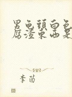 男龟头白色的豆腐渣东西是什么