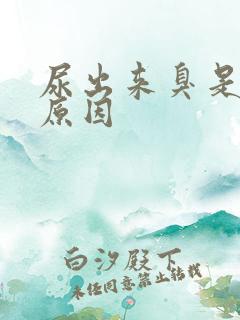 尿出来臭是什么原因