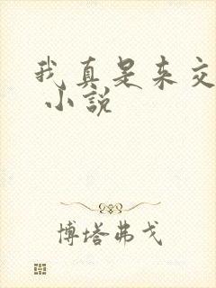 我真是来交换的 小说