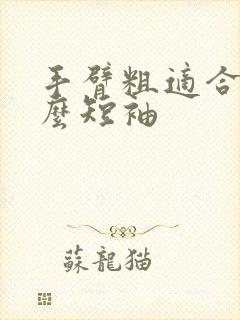 手臂粗适合穿什么短袖